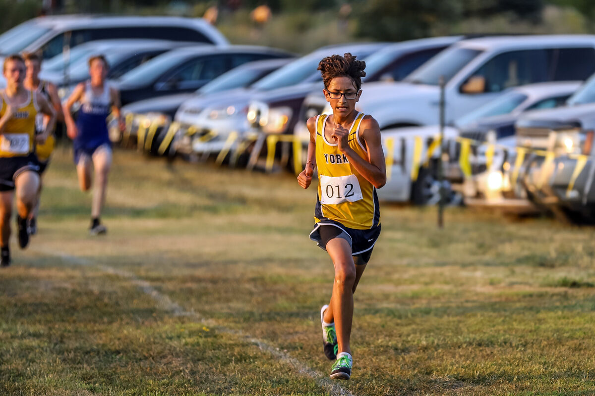 York McCool Cross Country (33).jpg